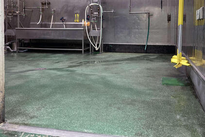 写真：食品工場洗浄室　水系硬質ウレタン　塗床工事　塗り床工事　床塗装　床改修　施工例　防塵床